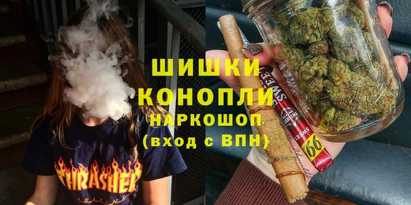 дживик Арсеньев