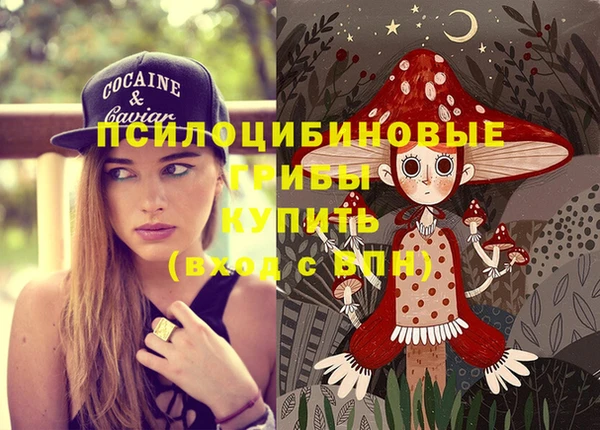 дживик Арсеньев