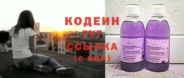дживик Арсеньев