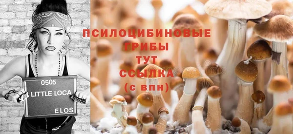 прущий лед Армянск